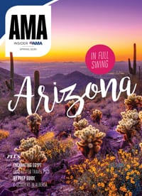 Cover of AMA Insider Magazine spring 2020 with flowers in the Arizona desert.