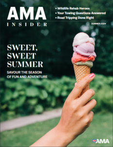 Summer cover of AMA Insider