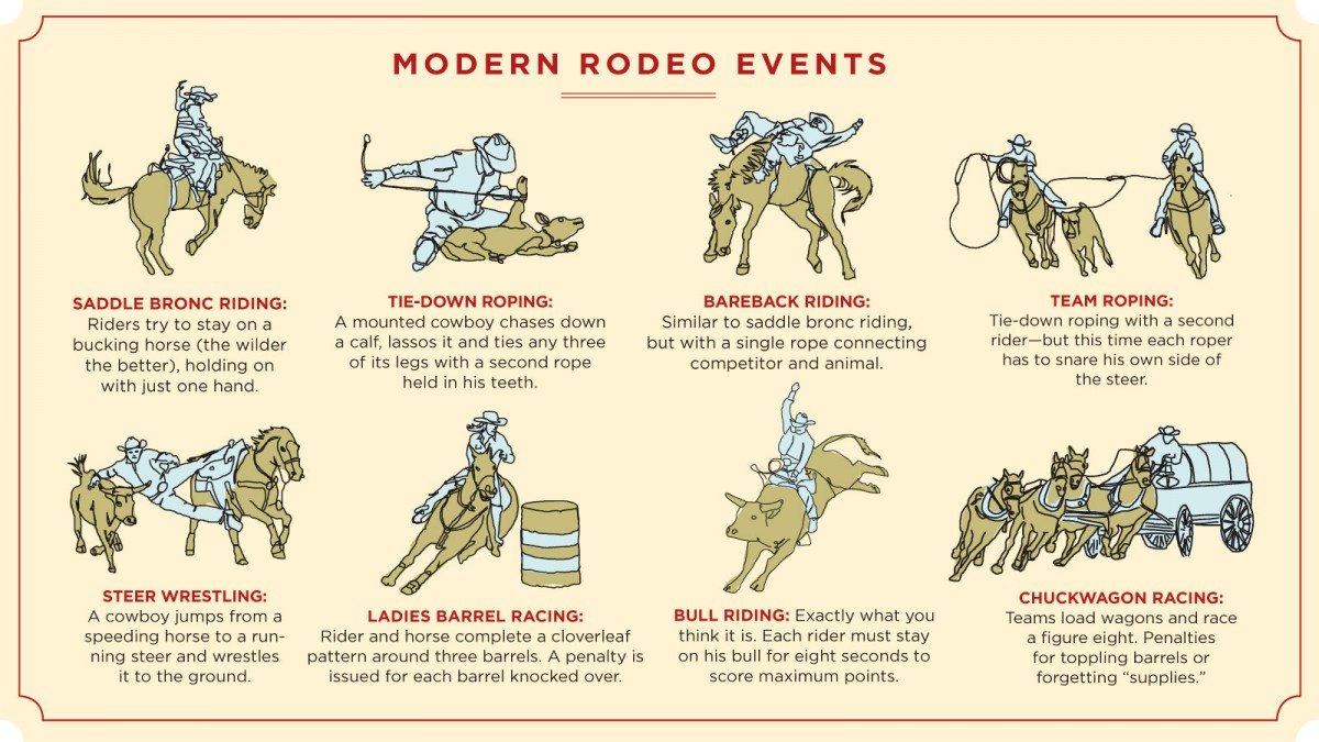A Beginner’s Guide to Alberta Rodeo AMA