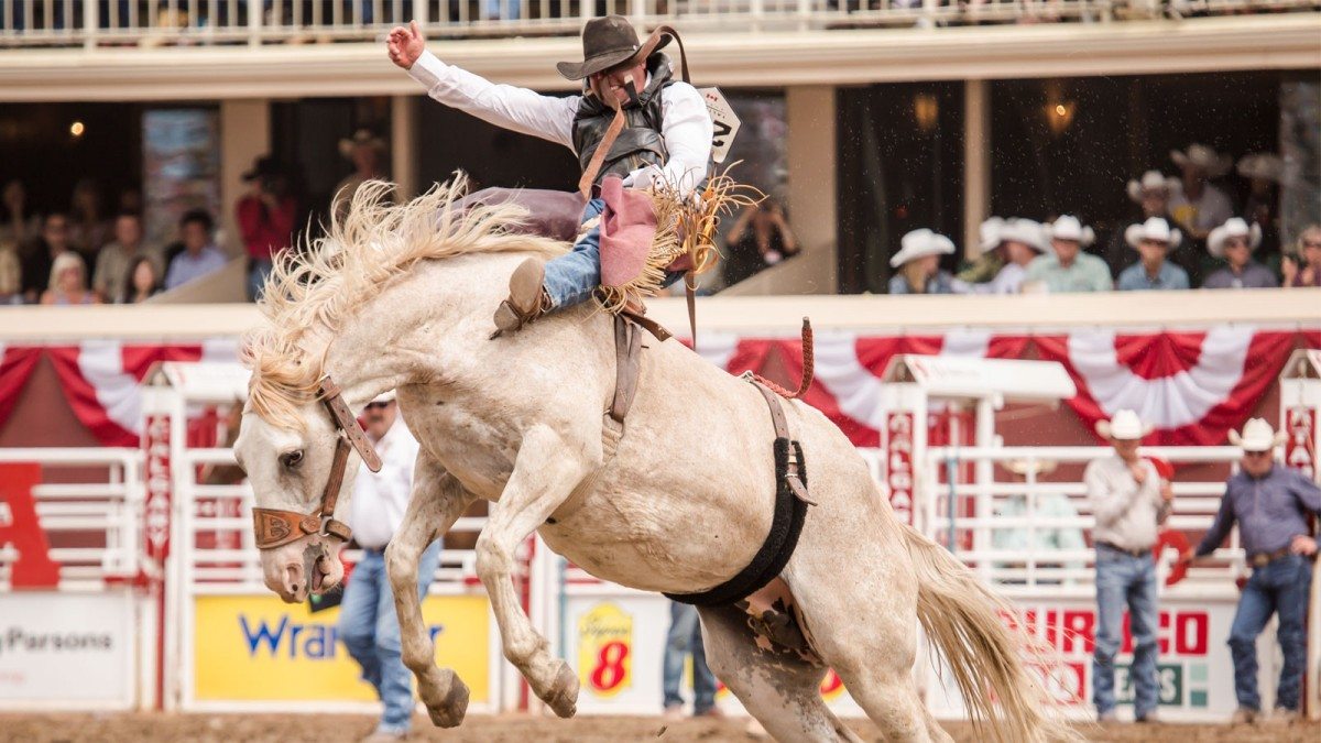A Beginner’s Guide to Alberta Rodeo AMA
