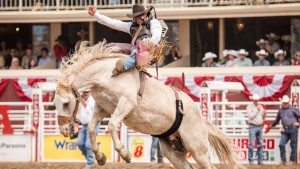 Alberta Rodeo Calgary Stampede Cowboys