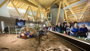 Philip J Currie Dinosaur Museum Grande Prairie Alberta