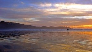 Things to do in Tofino Surfing Cox Bay