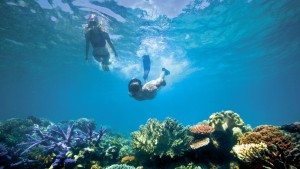 Outdoor Adventures in Australia Great Barrier Reef Snorkeling Gold Coast Brisbane