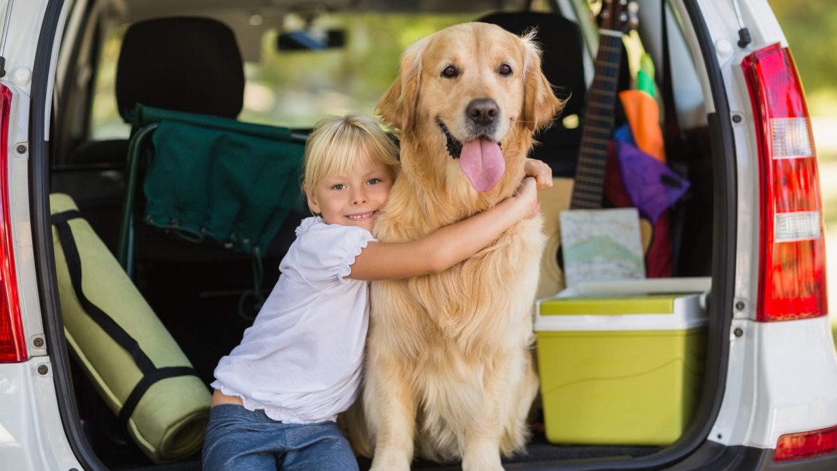 Travelling with Pets Roadtrip edition AMA