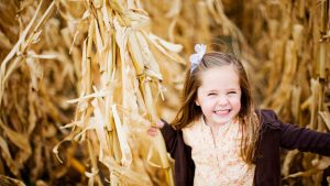 things to do in alberta fall 2017
