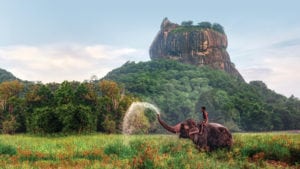 Sri Lanka Sigiriya elephant