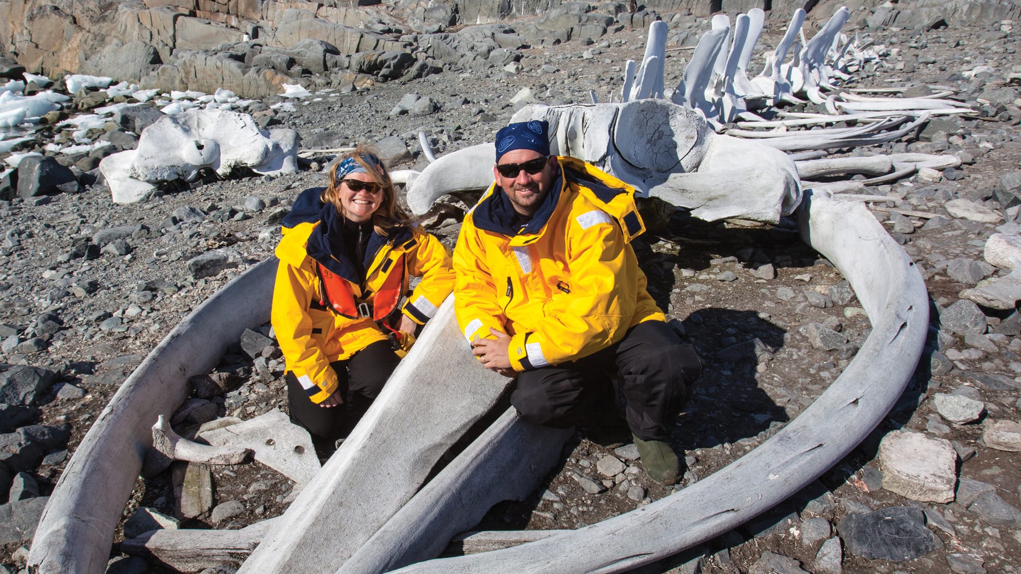 cruising antarctica whalebones