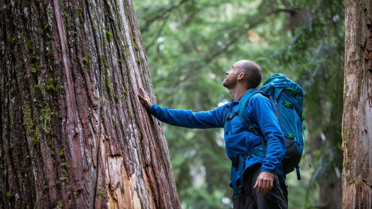 The Beginners Guide To Eco Conscious Travel Level 1 - lckv6yb