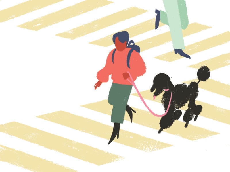Pedestrian Scrambles: How to Cross Like a Boss