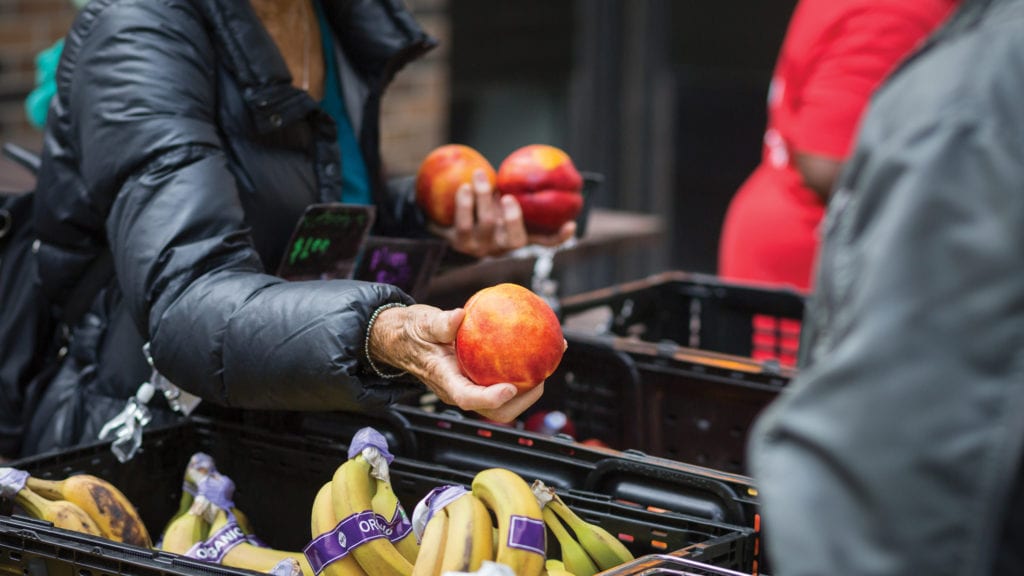 meet-the-people-working-to-solve-food-insecurity-in-alberta-ama