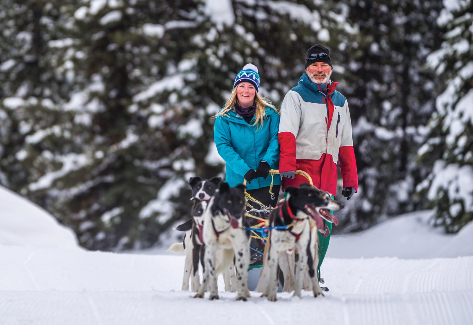 Smiling couple behind sled dogs in a wintry forest
