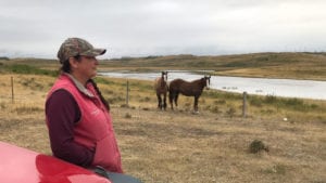 woman in ball cap and red vest at Rocking Heart Ranch two brown horses and river in background