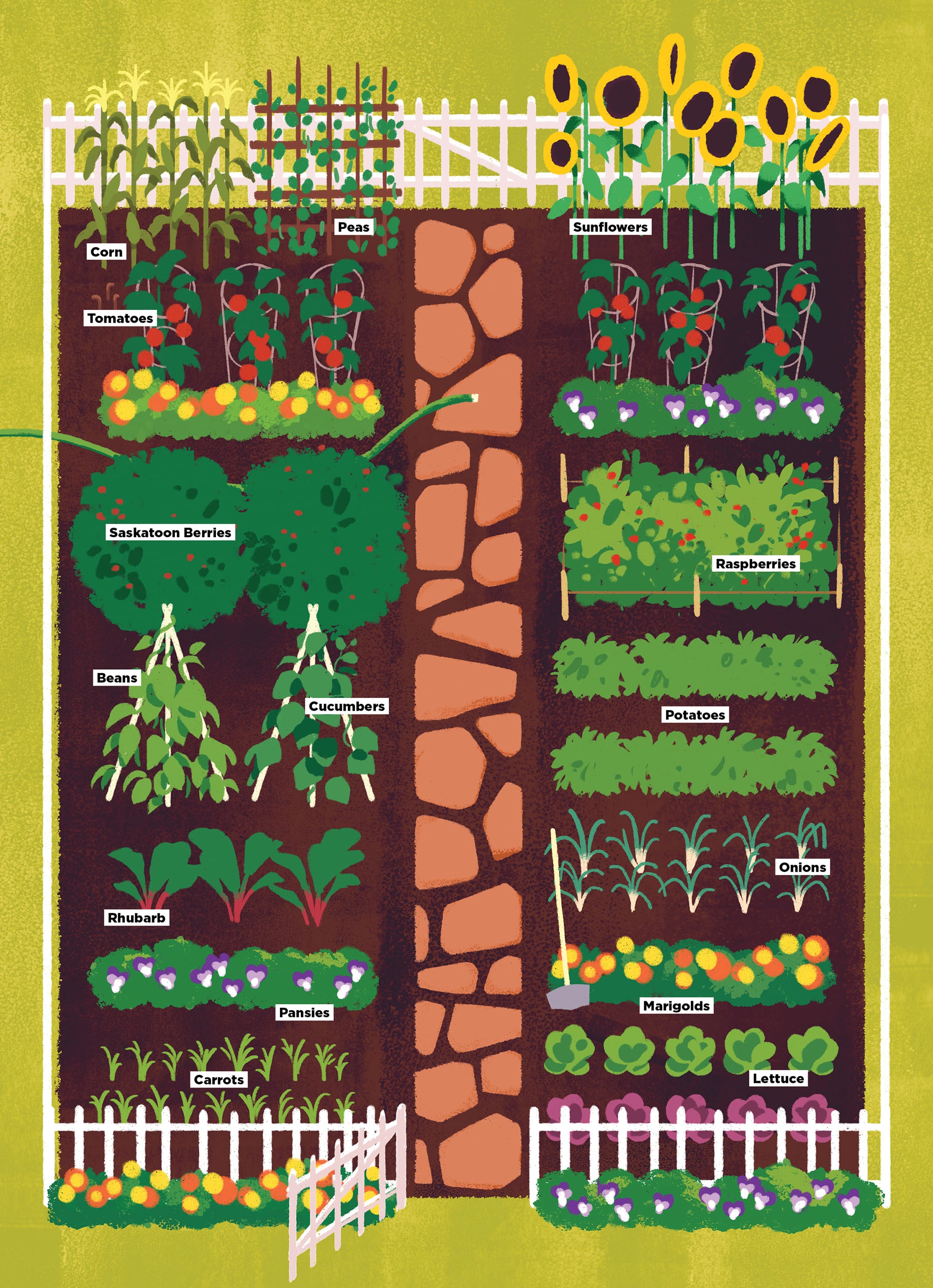 full illustration showing how to plan a garden with flowers vegetables fruit bushes and stone path