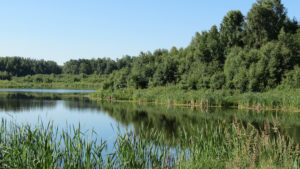small lake surrounded by grass and trees in conservation areas near edmonton