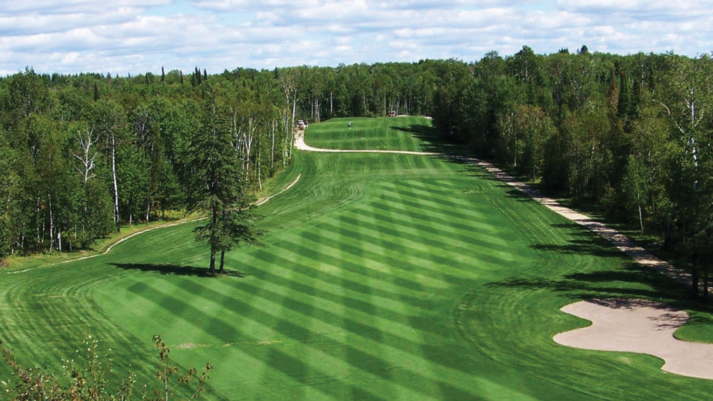 wide-angle photo of fairway lined with birch and evergreen trees at Granite Hills golf course