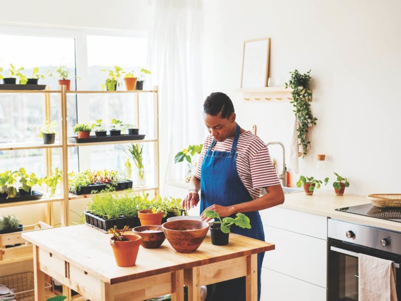 How to Be a Good Houseplant Parent