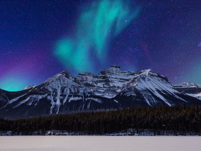 Things to do in Alberta: December 2022