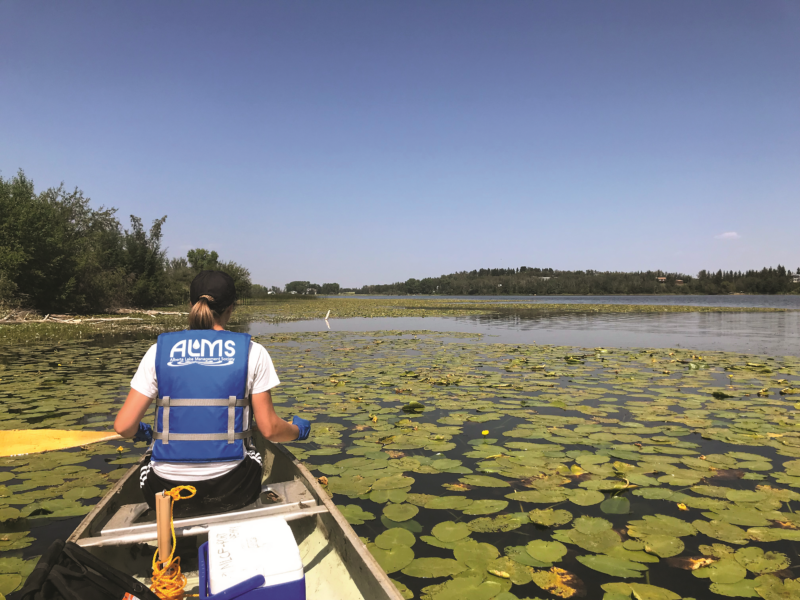 Testing the Waters: How Canadian Volunteers Protect Lakes, Rivers and Streams