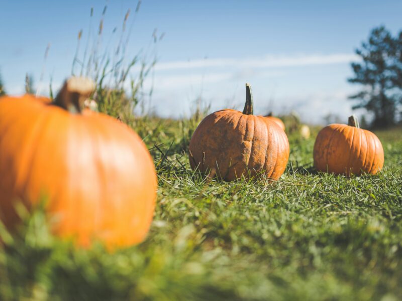 Things to do in Alberta: October 2025