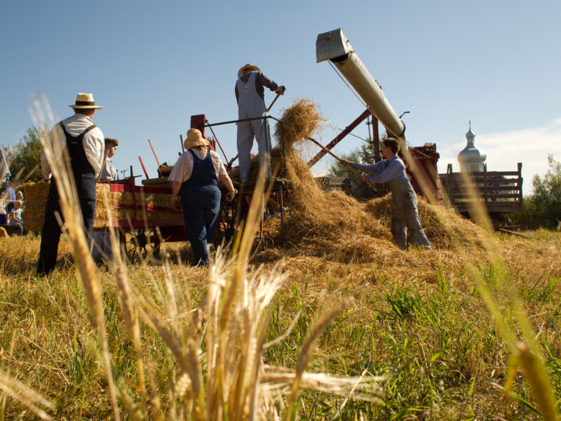 Things to Do in Alberta: September 2026
