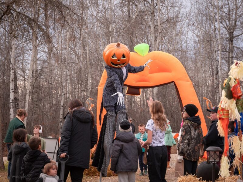 Things to Do in Alberta: October 2026